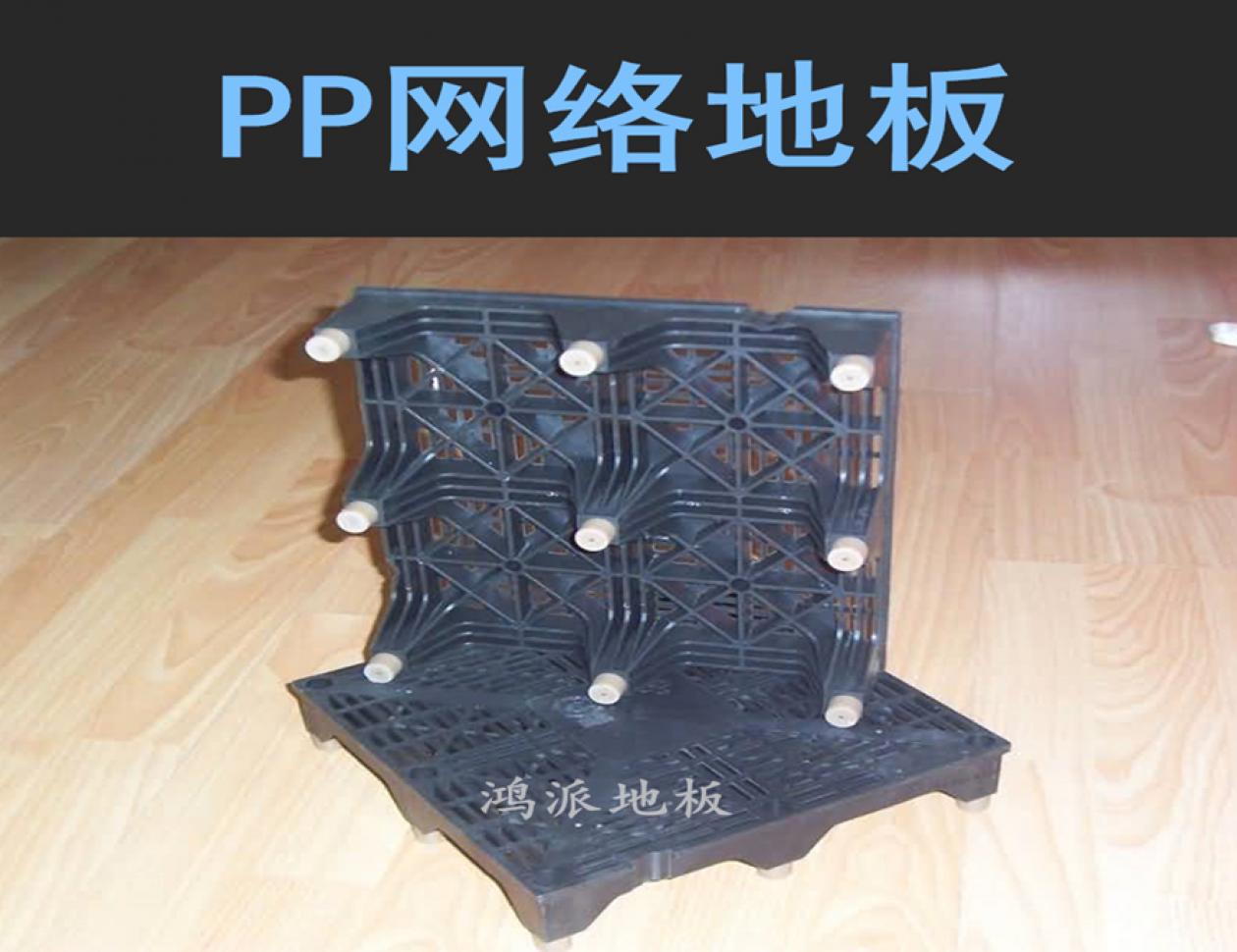 PP網(wǎng)絡(luò)地板